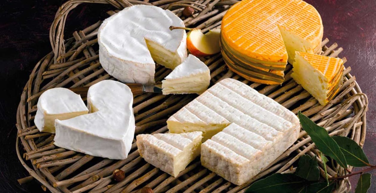 franse kazen normandisch